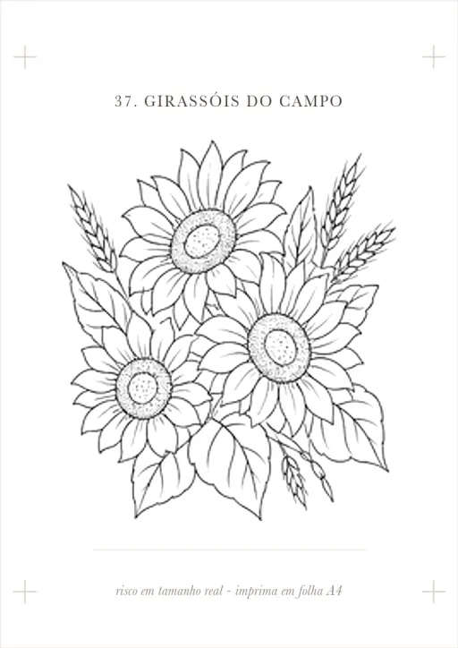 Folha A4 com o risco de girassois pronto para imprimir